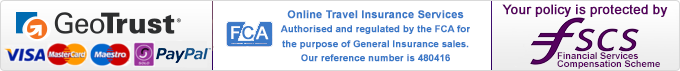 security logo
